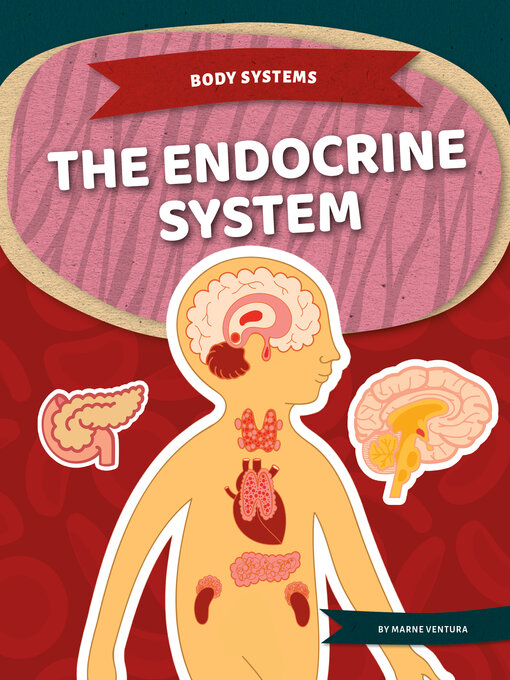 Title details for Endocrine System by Marne Ventura - Available